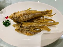 -上海会馆(香港名都店)