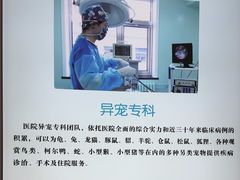 -北京观赏动物医院·24小时大型综合·猫专科·异宠专科