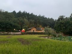 -韶山毛泽东同志故居