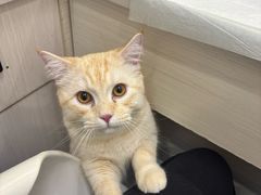 -博特宠物医院24h犬猫全科.骨科·异宠