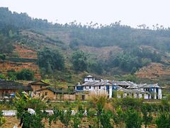 -福建土楼（华安）旅游区•大地土楼群