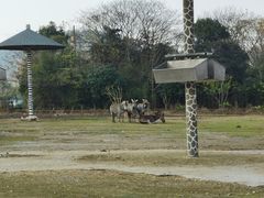 -宁波野生动物园