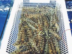 -江杨农产品批发市场