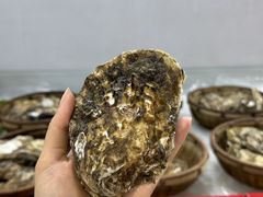 -明本海鲜大排档·鱼生海鲜烧烤宵夜(陈家祠店)