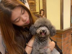 -more than meow吴止猫主题餐厅(承德 中船汇店)