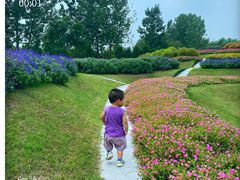 -南通洲际绿博园