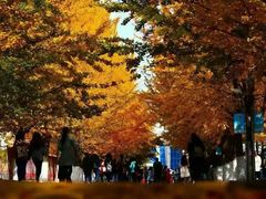 -辽东学院(南校区)