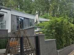-火炉山森林公园