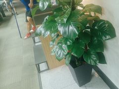 -云川台球(马甸店)