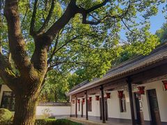 -上海佘山国家森林公园天马山园