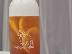 -浣熊柯尔鸭土拨鼠·电玩咖
