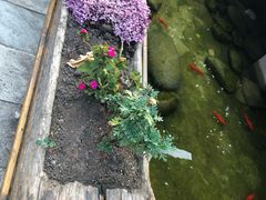 -寨沙侗寨(侗族歌堂)