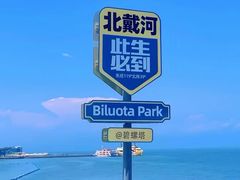 -北戴河碧螺塔海上酒吧公园
