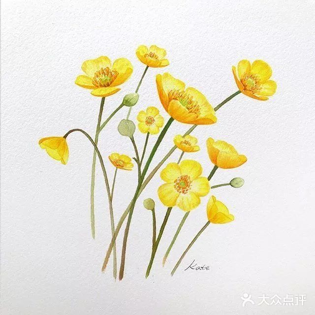 看大神用水彩画一整个后花园！