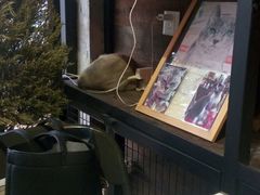 -MIKAKU(万达广场上海宝山店)