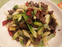 -曾牛肉