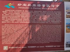 -珍宝岛