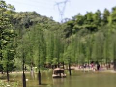 -广州市帽峰山景区