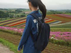 -富田农场