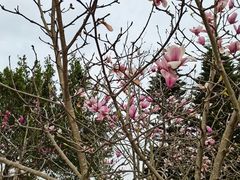 -福州长乐国际机场
