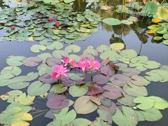 -国家植物园南园