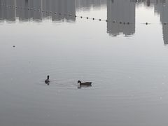 -保定东湖公园(莲池区)