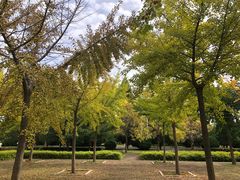 -龙潭大峡谷自然风景区