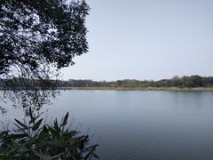 -东湖落雁景区