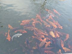 -杭州电子科技大学(下沙校区)