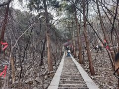 -腊山国家森林公园