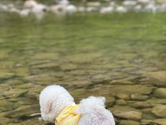 -白河湾生态旅游一条川