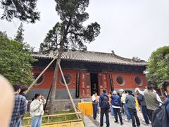 -洛阳白马寺