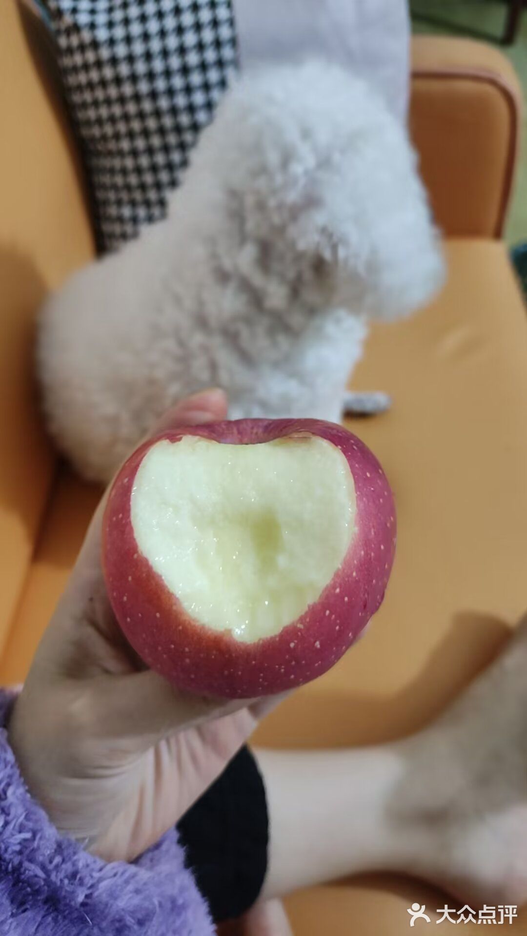 今日份的甜蜜苹果