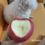 今日份的甜蜜苹果