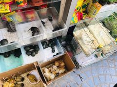 -曲阳花鸟市场(曲阳路店)