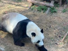 -泉州海丝野生动物世界