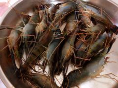 罗氏虾-渔文乐农庄