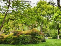 -天鹅湖体育公园