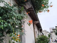 -青果巷历史文化街区