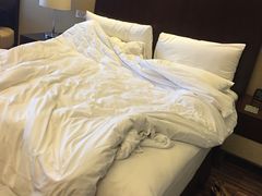 -上海龙之梦万丽酒店