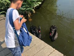 -长兴太湖图影湿地文化园