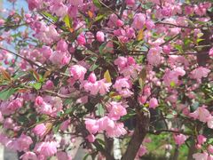 -常州淹城野生动物世界