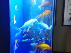 -知足堂养生会所(碑亭巷店)