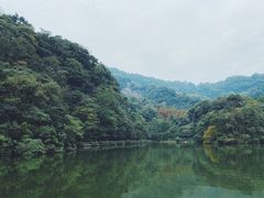 -青城山