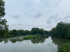 -西溪国家湿地公园