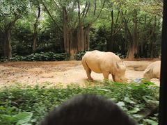 -广州长隆野生动物世界