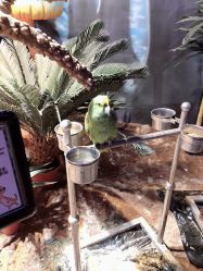 -酷嗒动物文化乐园(cutezoo西溪乐天城店)