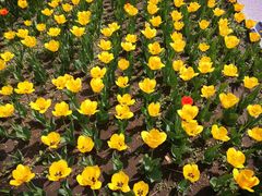 -长春公园(普阳街道)