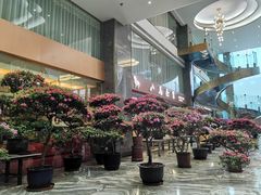 -桂林碧玉国际大酒店-碧玺茶餐厅