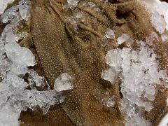 -茅草房·河畔园林火锅